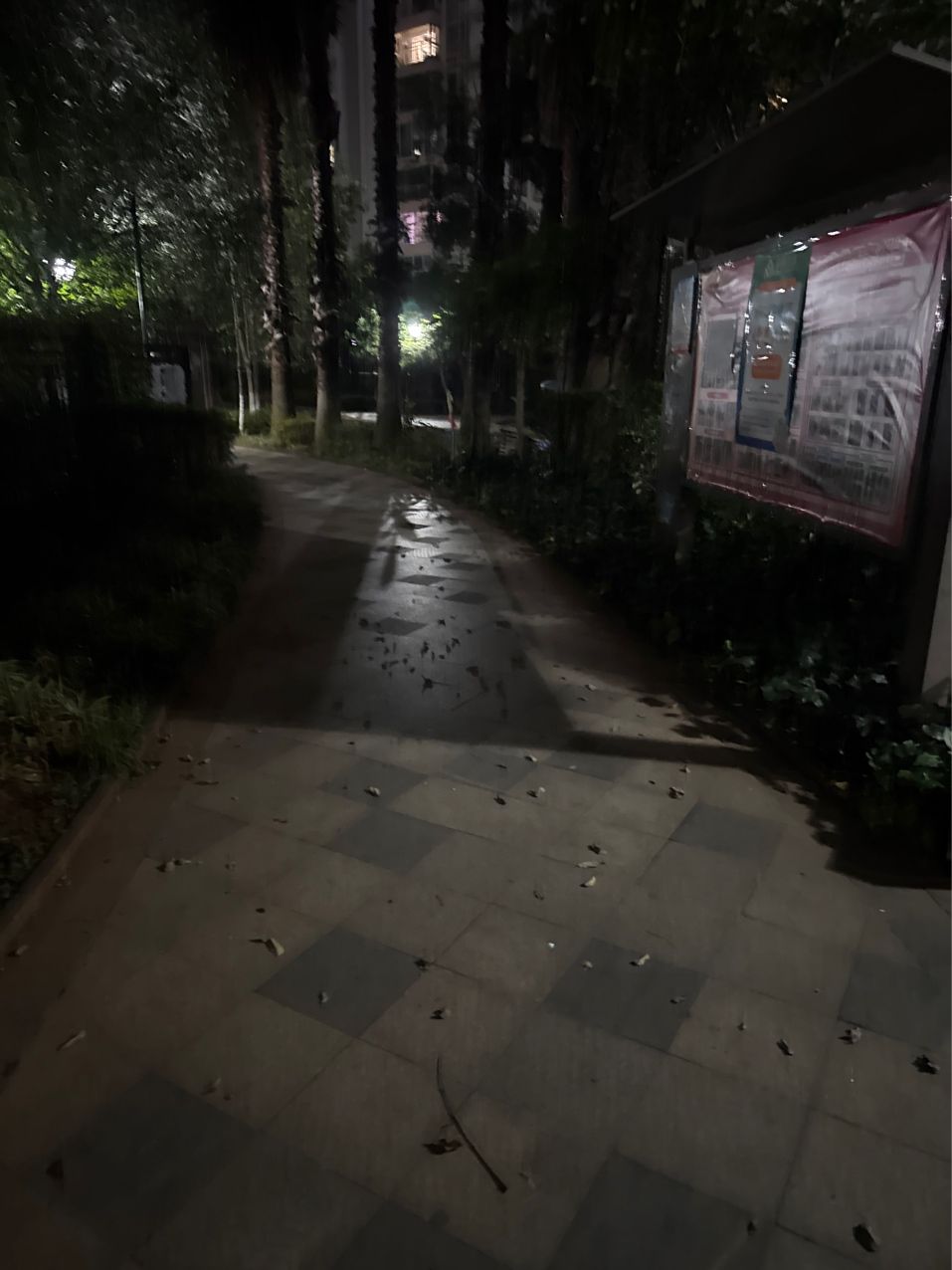 鸚鵡魚和銀龍魚混養(yǎng)怎樣喂食 早上好(tzx評論:早晨的問候與生活小貼士) 龍魚論壇 早上好(tzx評論:早晨的問候與生活小貼士) 早上好(tzx評論:早晨的問候與生活小貼士) 龍魚論壇