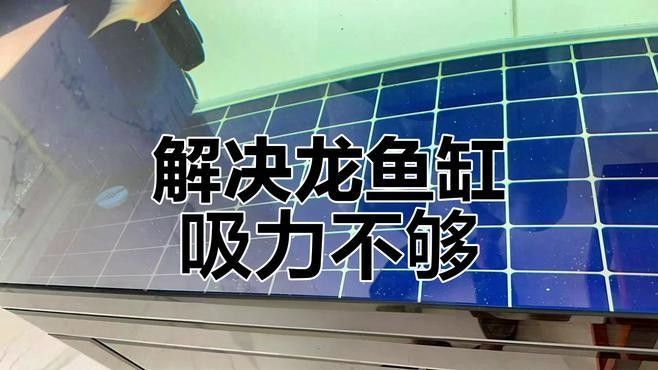 龍魚缸的底濾系統(tǒng)如何設(shè)置（魚缸底濾系統(tǒng)怎么設(shè)置）