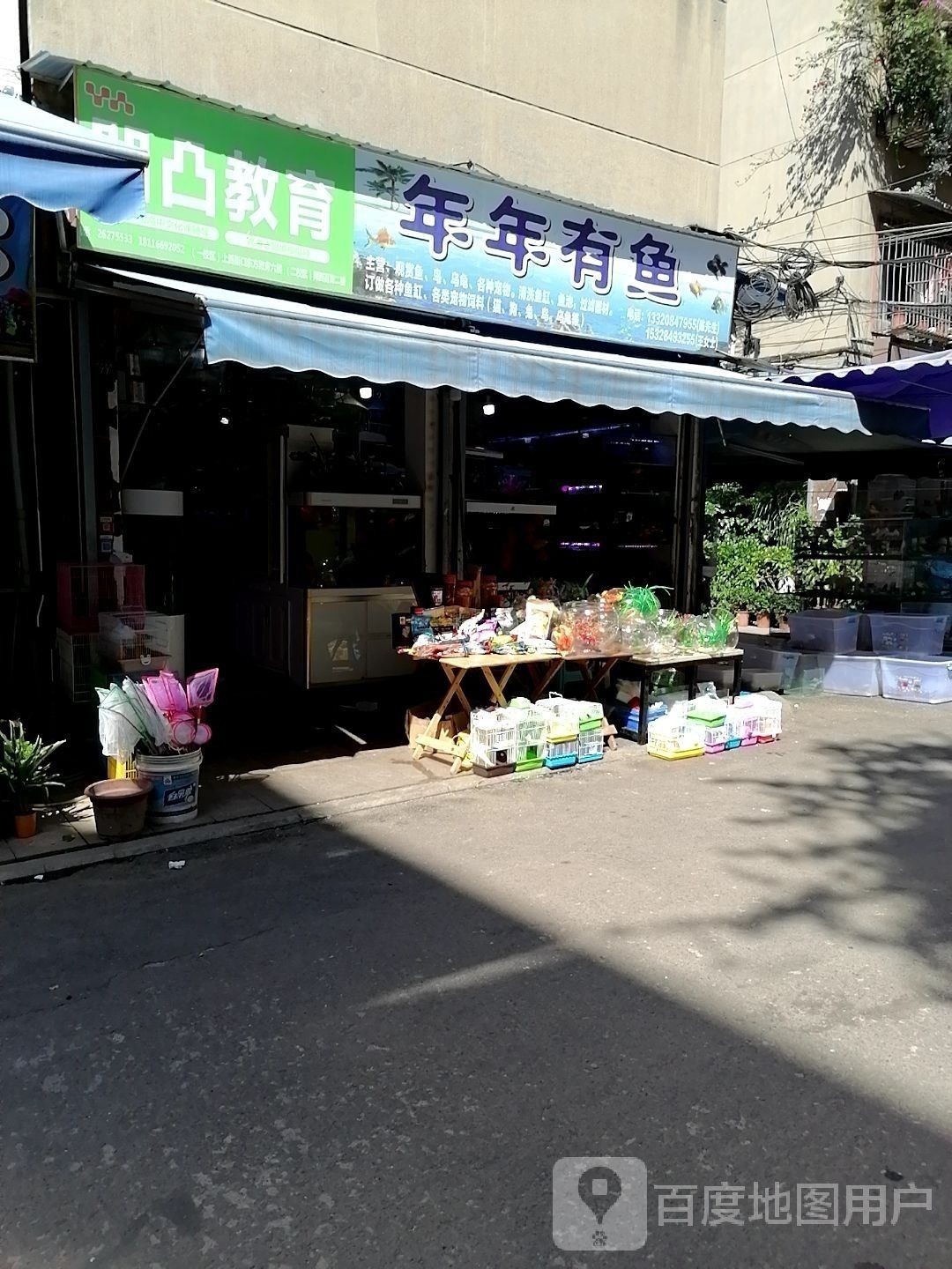 雁江哪個水族館龍魚好？祥龍魚場龍魚（廣州龍魚祥龍魚場）