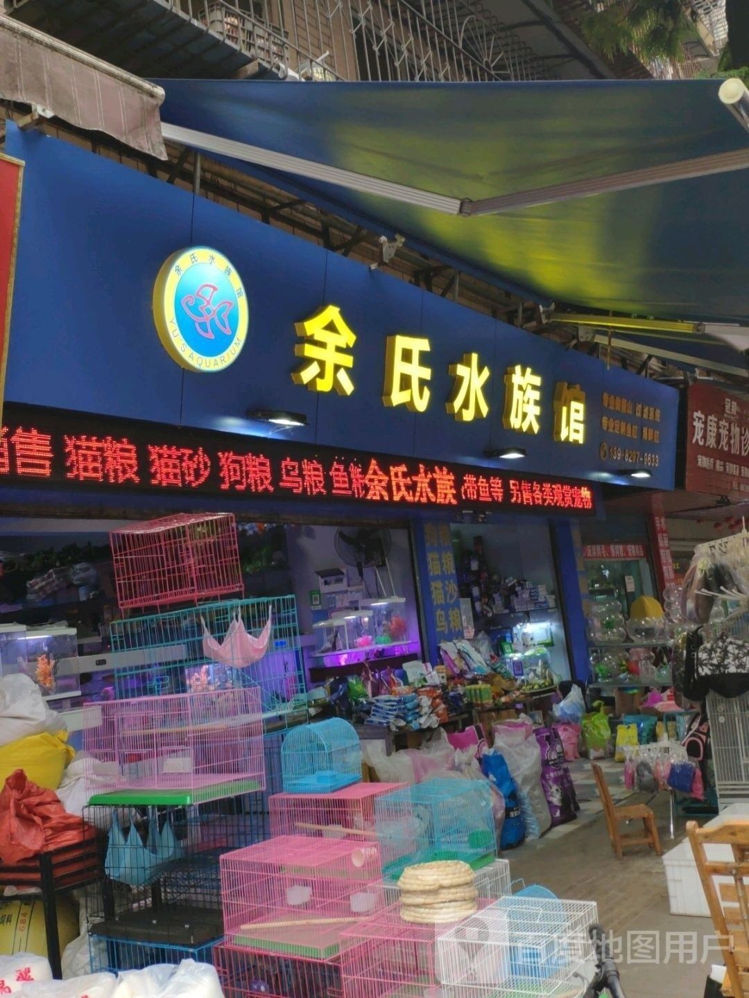 雁江哪個水族館龍魚好？祥龍魚場龍魚（廣州龍魚祥龍魚場）