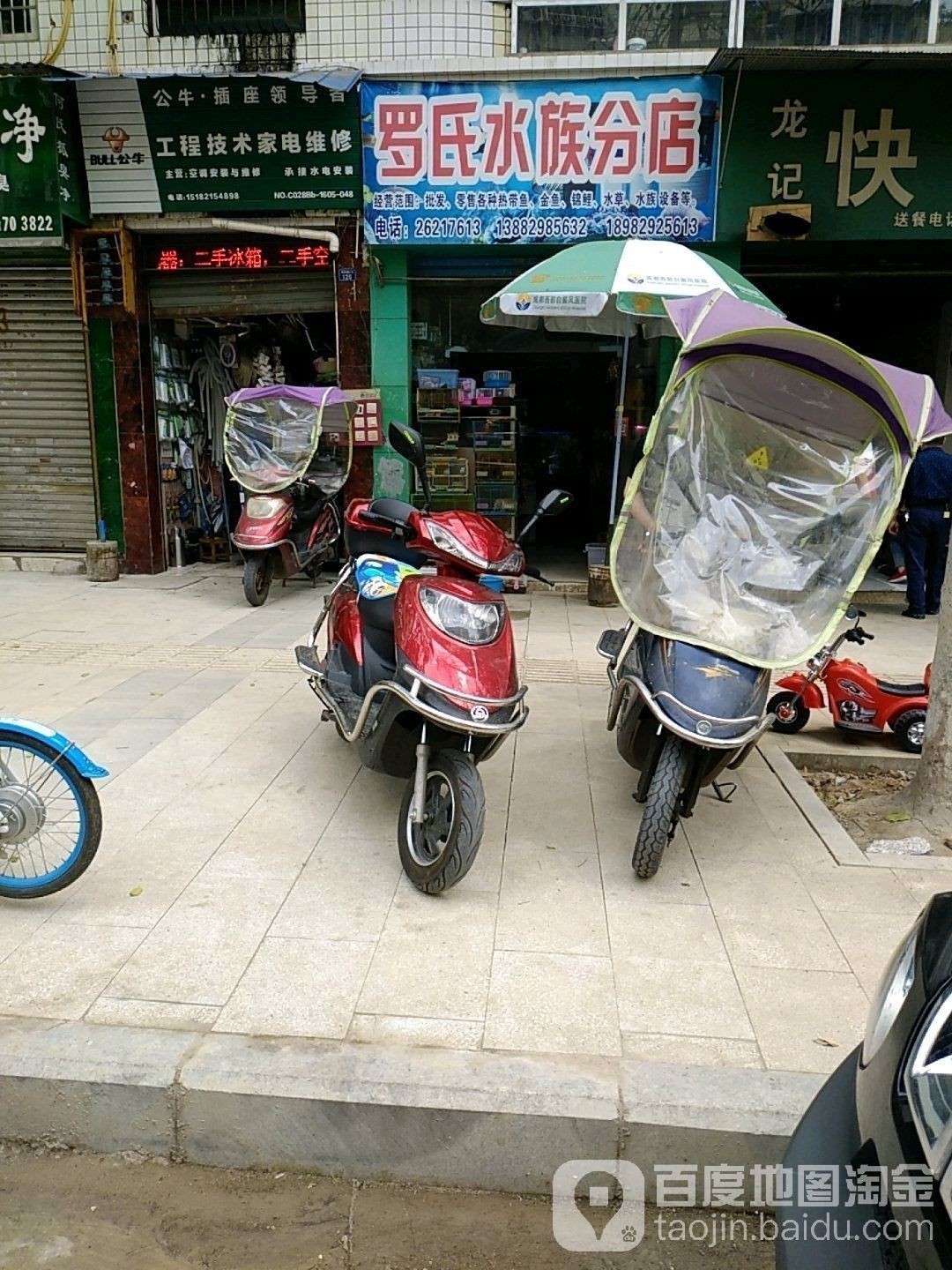 雁江哪個水族館龍魚好？祥龍魚場龍魚（廣州龍魚祥龍魚場）