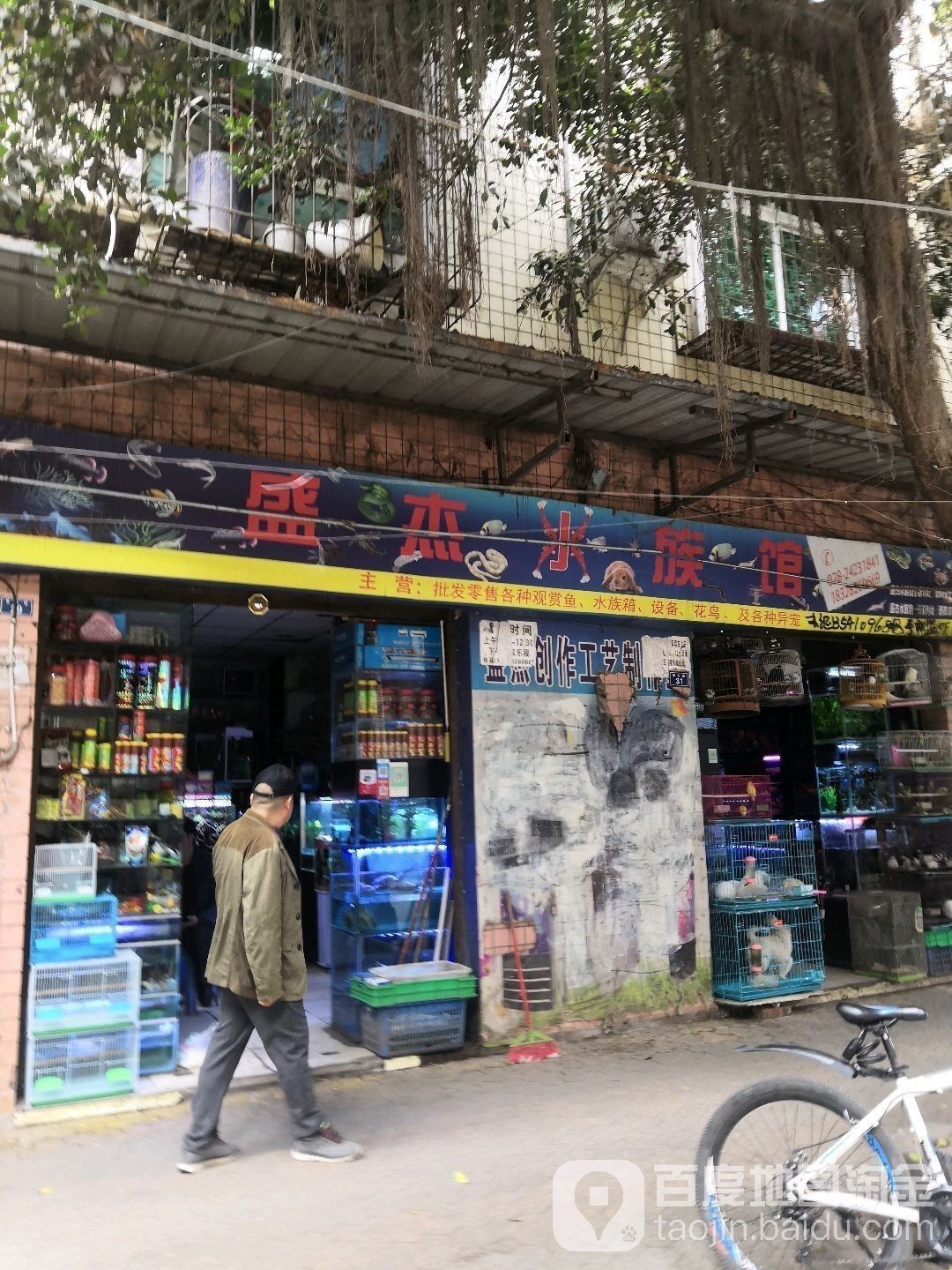 雁江哪個水族館龍魚好？祥龍魚場龍魚（廣州龍魚祥龍魚場）