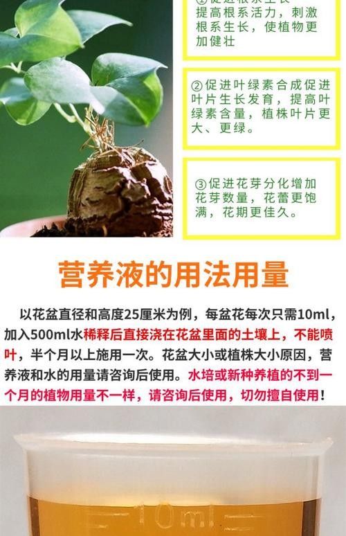 龍魚缸中的植物需要施肥嗎（魚缸中的植物是否需要施肥取決于多種因素）
