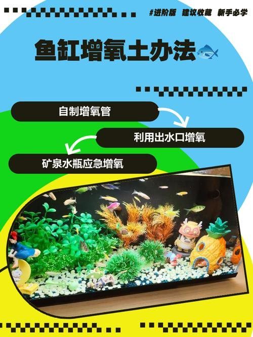 龍魚缸中的植物需要施肥嗎（魚缸中的植物是否需要施肥取決于多種因素）