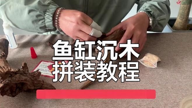 如何固定魚缸中的沉木？（如何固定魚缸中的沉木）