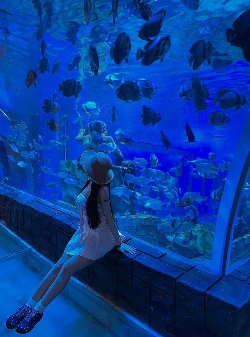 東莞哪個水族館龍魚好？祥龍魚場龍魚（東莞海立方環游城祥龍魚場vwww.xiantianan）