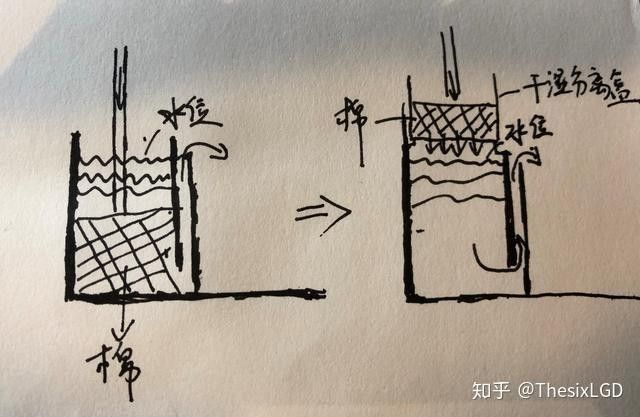 干濕分離盒對龍魚有何影響（干濕分離盒對于龍魚的影響）