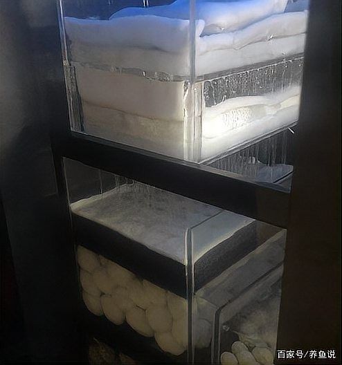 干濕分離盒對龍魚有何影響（干濕分離盒對于龍魚的影響）