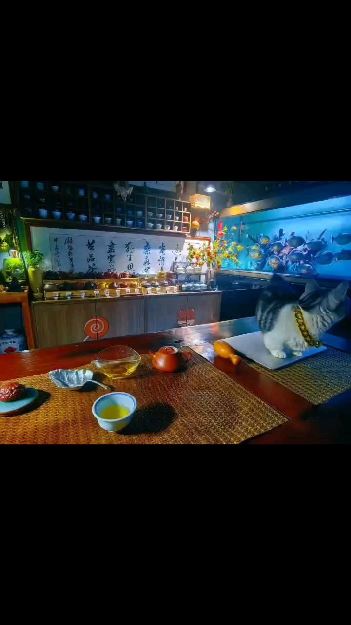 茶室，魚(yú)房隔壁的辦公室……（一間茶室與魚(yú)房相鄰的辦公室）