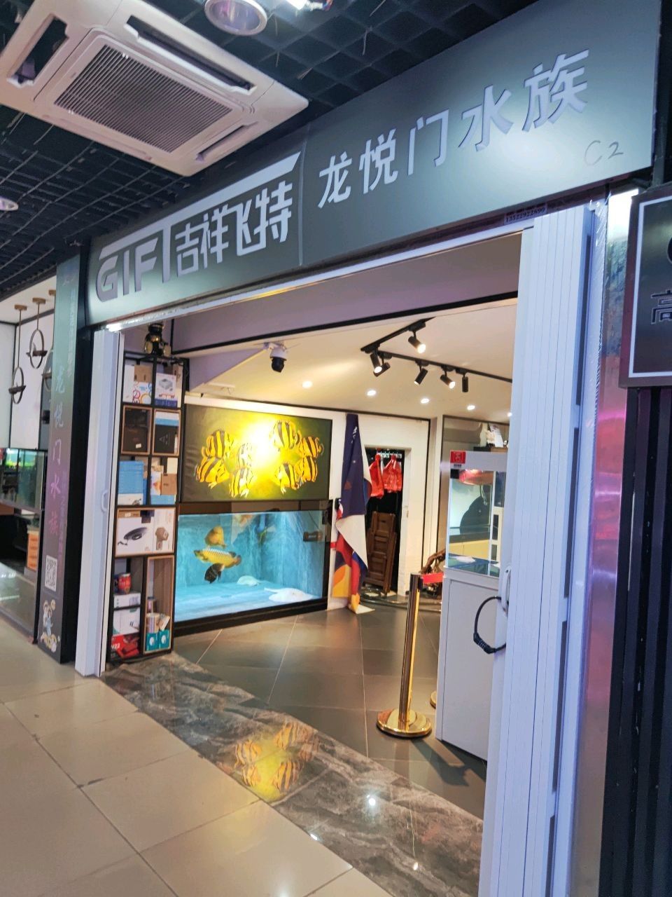 龍虎匯水族館的聯系方式（關于龍虎匯水族館的聯系方式）