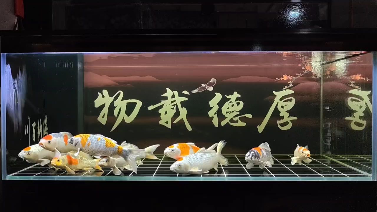 打卡（打卡文化的社會(huì)學(xué)分析）