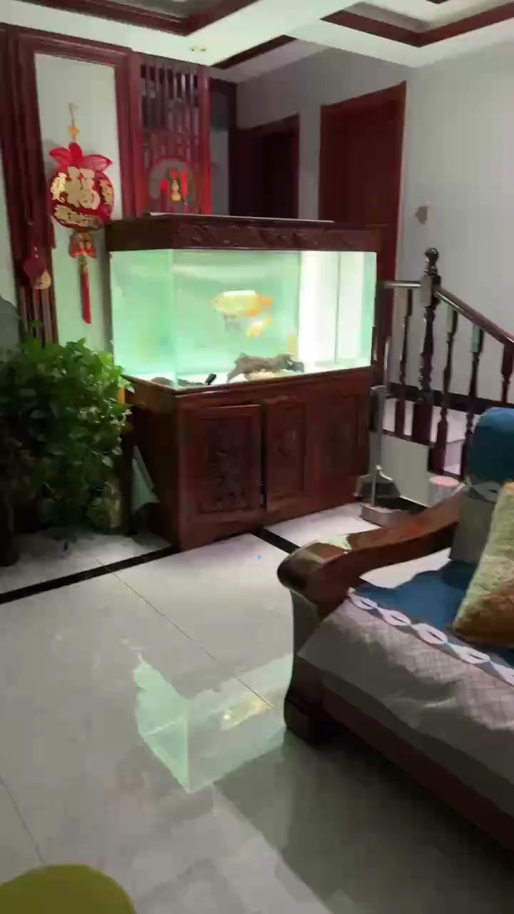 看會（人工智能、機器學習、量子計算等前沿技術正逐步改變我們的生活和工作方式）