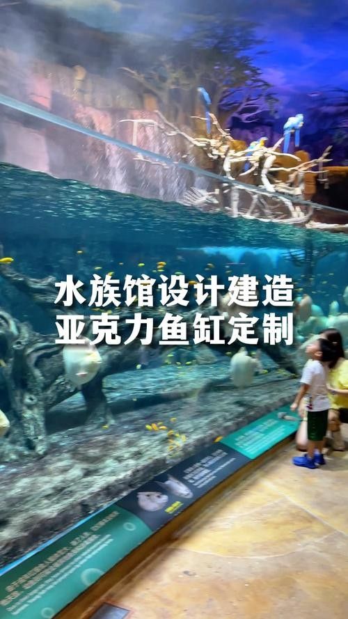 澳門哪個(gè)水族館龍魚好？祥龍魚場龍魚（澳門哪個(gè)水族館最適合觀賞龍魚養(yǎng)殖場，祥龍魚場品質(zhì)更具優(yōu)勢）