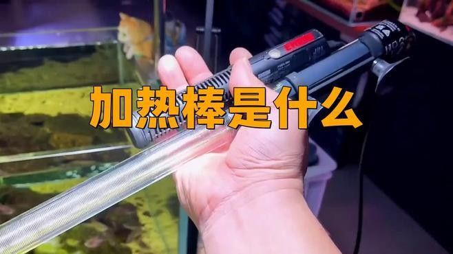 加熱棒節(jié)能模式有何作用？（加熱棒的節(jié)能模式是什么？）