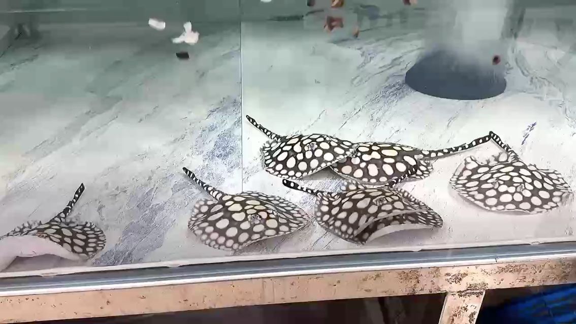 嶄新一周從早餐開始（嶄新一周從早餐開始我與世界只差一個你）