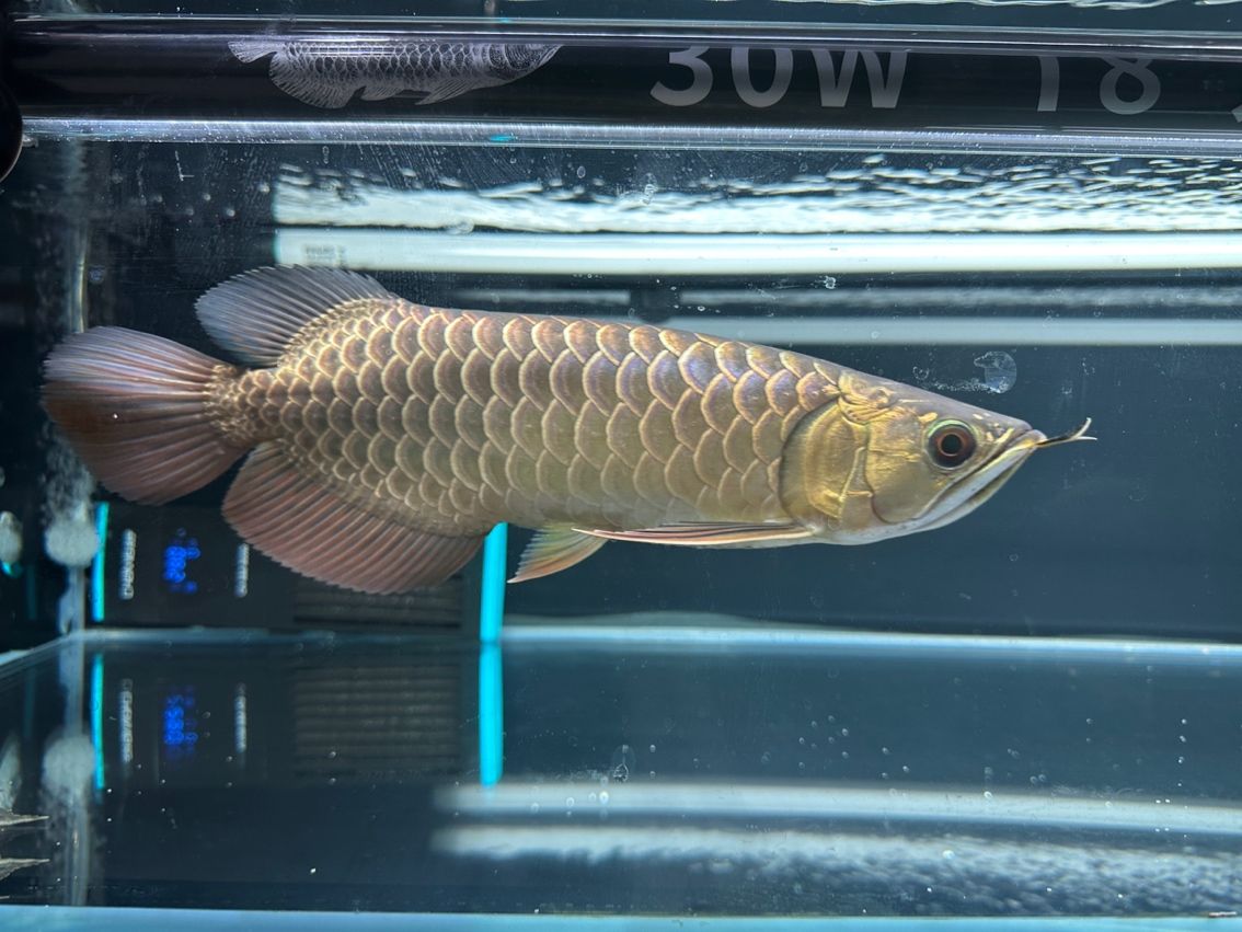 記錄（一次難忘的戶外徒步旅行）