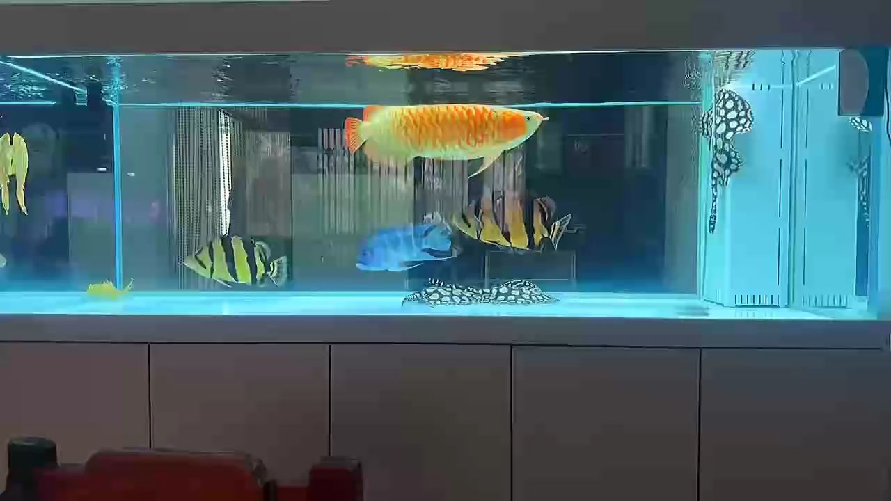 靜心靜心靜心（靜心的重要性）