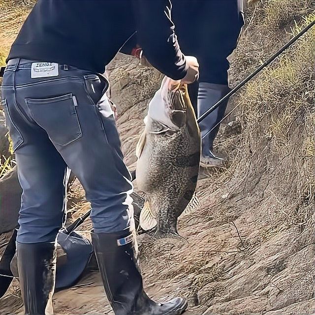 飛蠅假餌的釣魚效果（路亞人自制飛蠅假餌詳細解說教程分享）