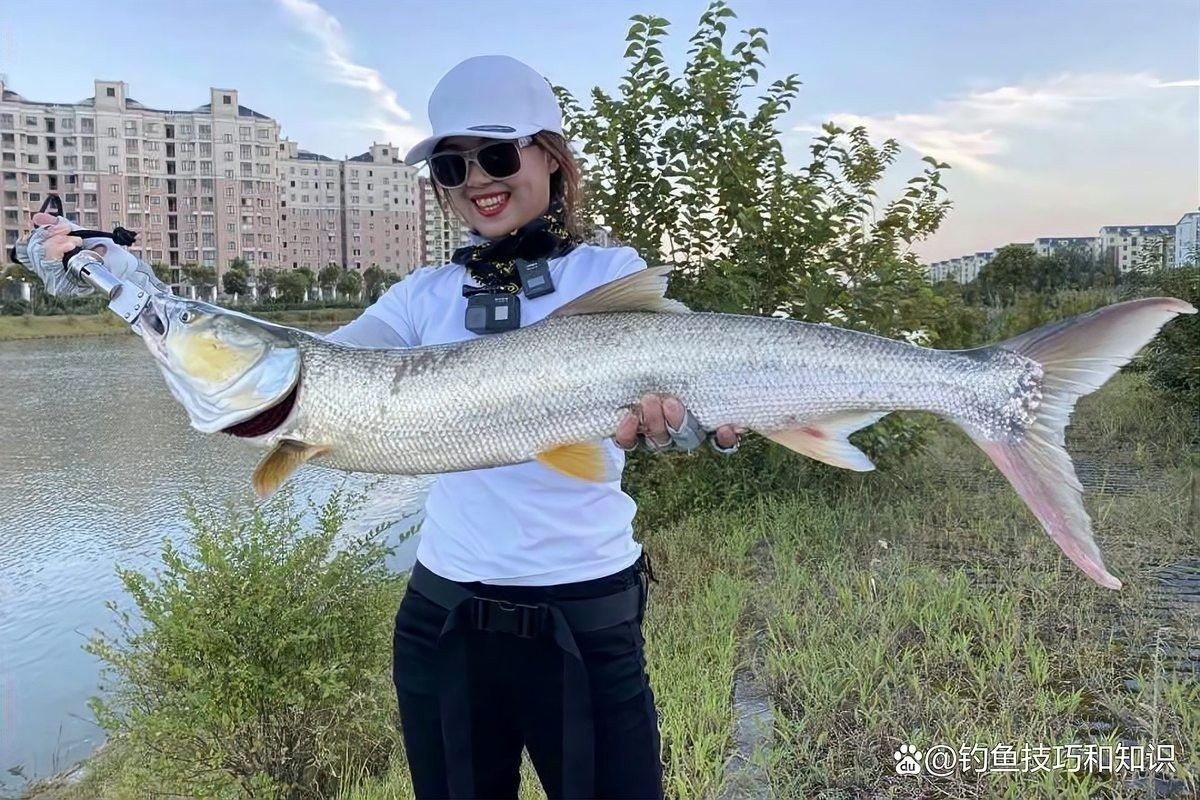 飛蠅假餌的釣魚效果（路亞人自制飛蠅假餌詳細解說教程分享）