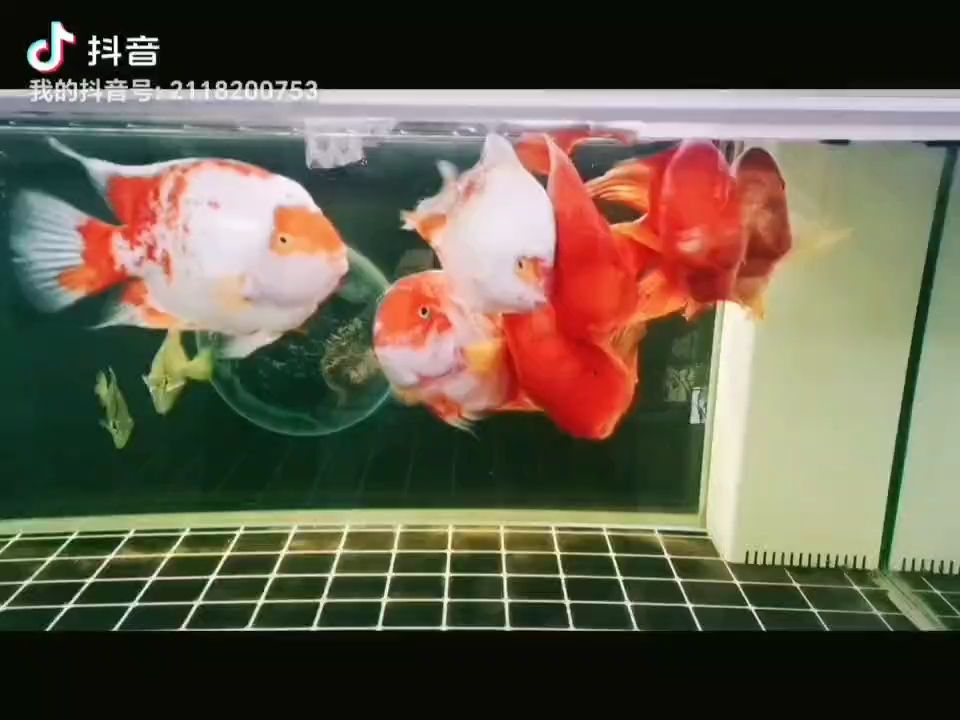 事事順?biāo)欤瑫絹碓胶茫蠠o阿彌陀佛??????（“事事順?biāo)臁北磉_(dá)了一種對當(dāng)前狀況的樂觀態(tài)度，認(rèn)為一切都將按照預(yù)期發(fā)展）