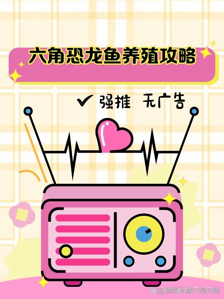 六角恐龍魚多久換一次水？（六角恐龍魚一般能活多久）