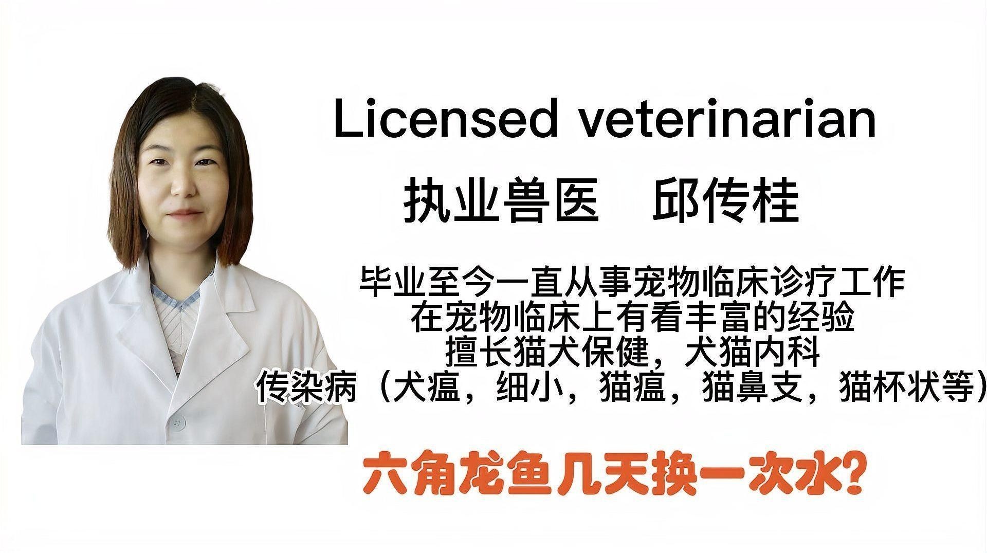 六角恐龍魚多久換一次水？（六角恐龍魚一般能活多久）