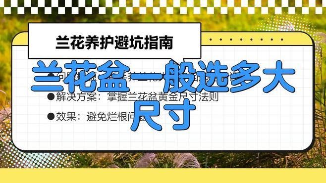 紅龍字蘭花需要多大的花盆（紅龍字蘭花的養(yǎng)護(hù)方法）