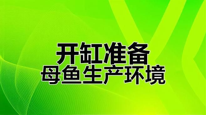 繁殖缸中需要哪些設(shè)備？（南美短鯛繁殖缸繁殖缸設(shè)置及選型建議）