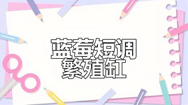 繁殖缸中需要哪些設(shè)備？（南美短鯛繁殖缸繁殖缸設(shè)置及選型建議）