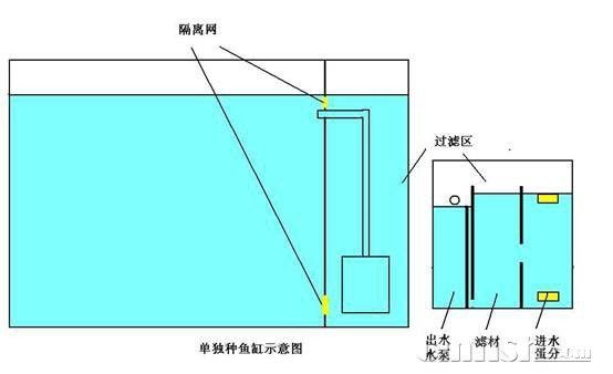 繁殖缸中需要哪些設(shè)備？（南美短鯛繁殖缸繁殖缸設(shè)置及選型建議）