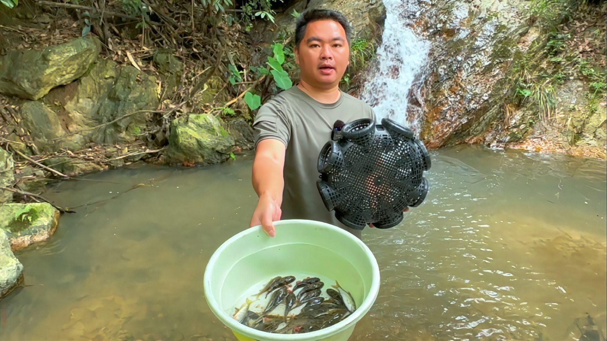 如何選擇性格溫順的紅老虎魚？（性格溫順的紅老虎魚怎么養(yǎng)養(yǎng)虎皮魚這3點(diǎn)細(xì)節(jié)做到位）