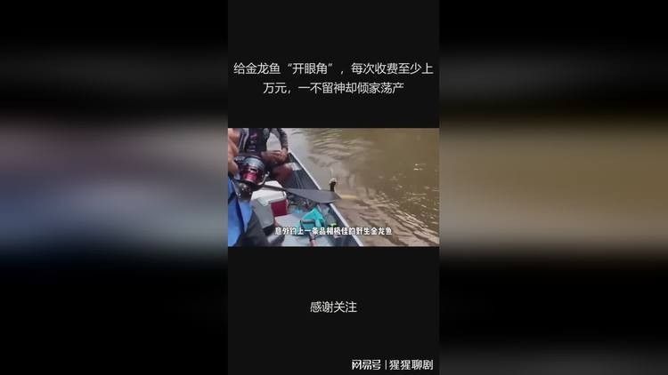 金龍魚掉眼手術的費用大概是多少（龍魚掉眼手術的費用）