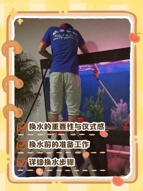 龍魚缸養魟魚需要注意什么（魚缸養魟魚需要注意的要點）