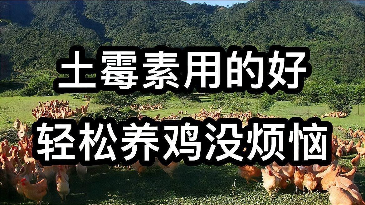 使用土霉素后多久見效（土霉素在養殖中作用好，5大方案你用對了嗎）