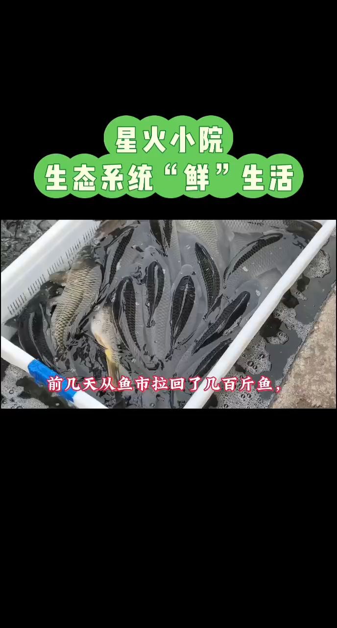 生態循環系統，養殖綠色“鮮”生活（養殖綠色“鮮”生活）