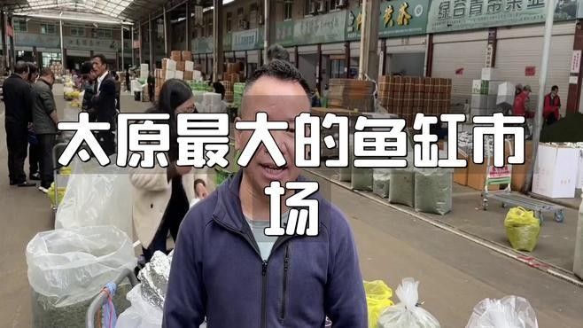 給我推薦幾家太原的龍魚養殖場（太原龍魚養殖場哪個最好） 給我推薦幾家太原的龍魚養殖場（太原龍魚養殖場哪個最好） 龍魚百科 第1張