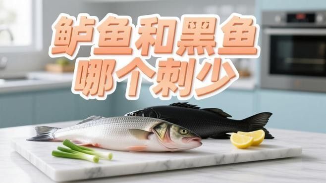 黑魚和鱸魚哪個刺更少（黑魚和鱸魚哪個刺少）