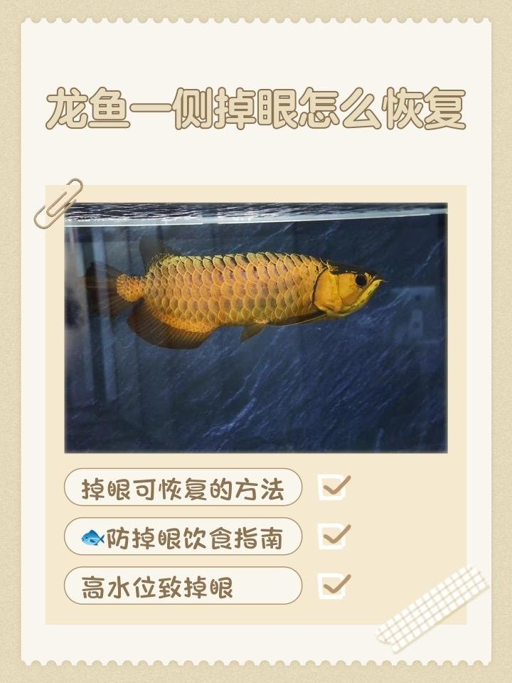 龍魚眼睛下垂能完全恢復嗎（龍魚眼睛下垂怎么辦）
