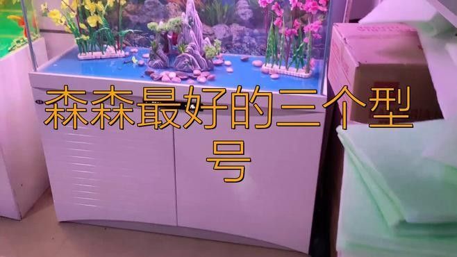 森森龍魚缸哪個系列最好（森森魚缸哪個系列性價比最高？）