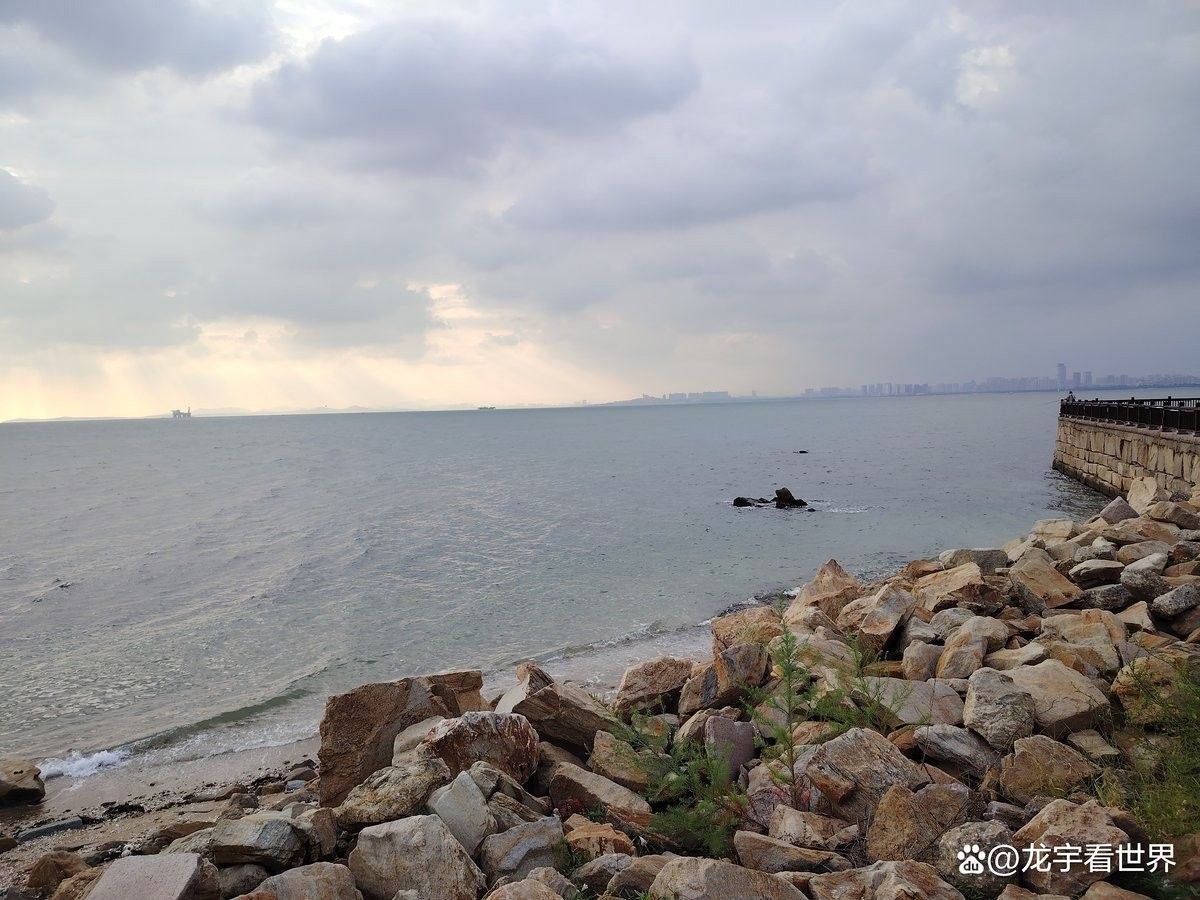 海龍魚禁令對(duì)消費(fèi)者有哪些影響