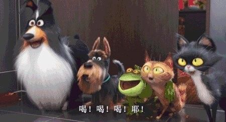 如何聯系寵心源動物醫院