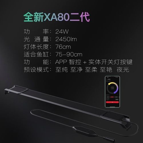 如何選擇適合金龍魚的LED燈？ 如何選擇適合金龍魚的LED燈？ 龍魚百科 第14張