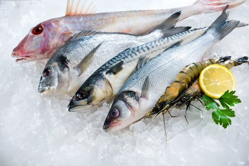 如何判斷飼料魚(yú)是否新鮮（判斷飼料魚(yú)是否新鮮的飼料魚(yú)是否新鮮的方法和技巧）