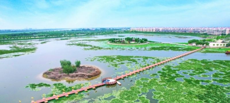 御福龍龍魚基地的售后服務如何？（御福龍龍魚基地的售后服務） 御福龍龍魚基地的售后服務如何？（御福龍龍魚基地的售后服務） 龍魚百科 第4張
