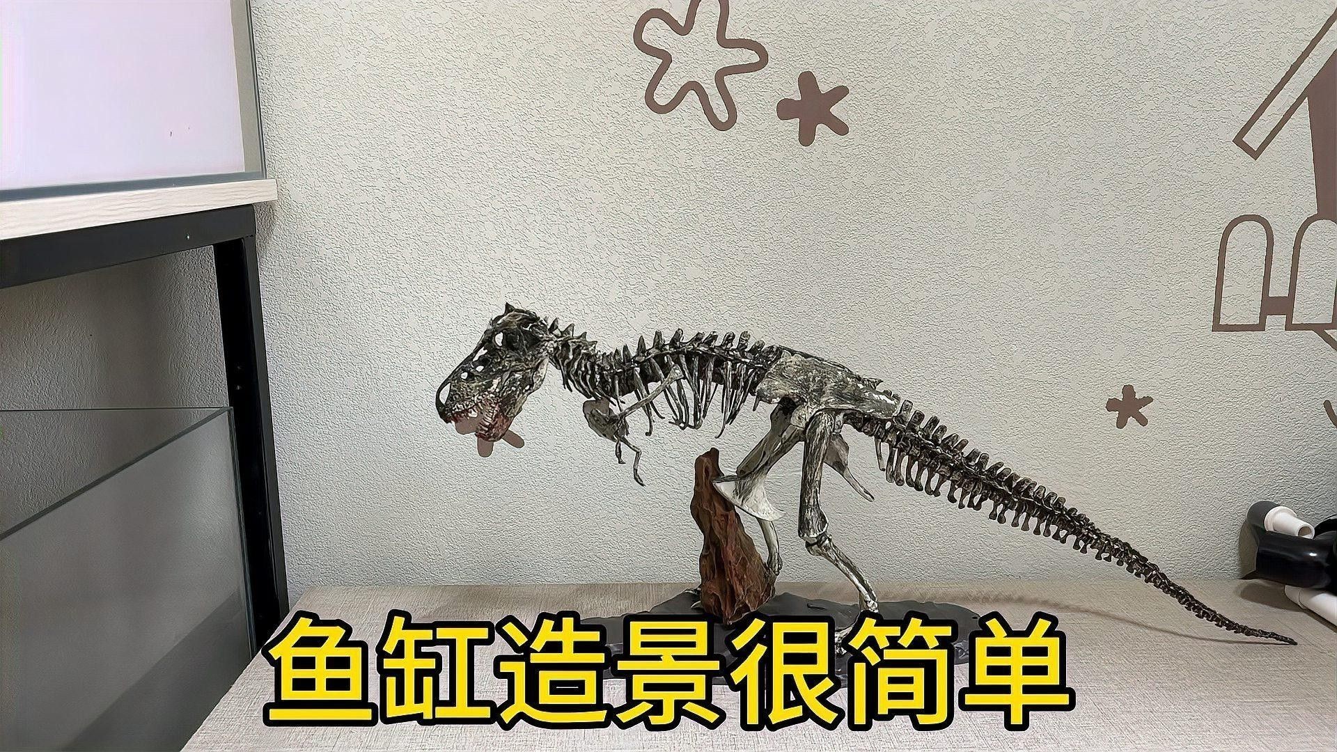 龍魚缸造景步驟是什么？（雷龍缸造景教程：龍魚缸造景的基本步驟，簡單又上手）