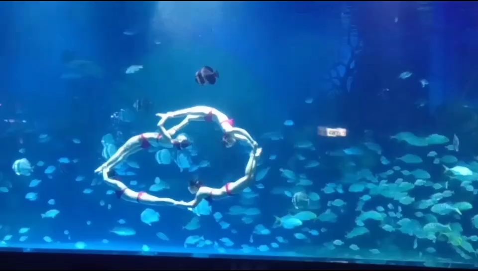 隨拍（隨拍的意義是什么？）