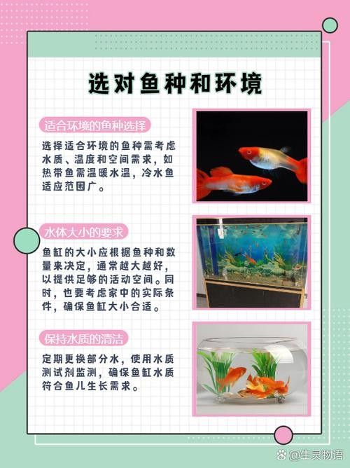 如何減少飛鳳魚對龍魚黏膜的吸食？