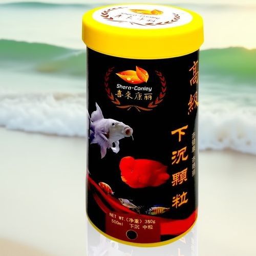 如何減少飛鳳魚對龍魚黏膜的吸食？