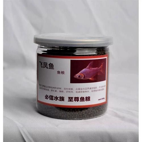 如何減少飛鳳魚對龍魚黏膜的吸食？