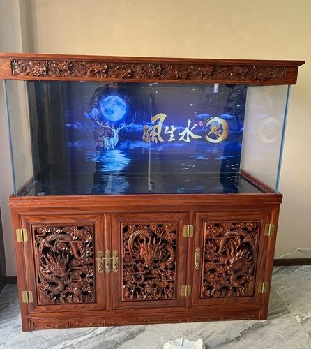 察右后旗哪個水族館龍魚好？祥龍魚場龍魚（察右后旗哪個水族館龍魚好）